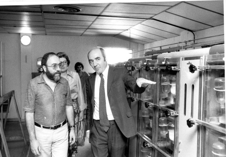 visita higginson 76 3