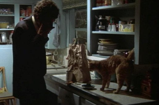 Elliot Gould e il suo gatto nella scena di apertura de Il lungo addio | re-movies 