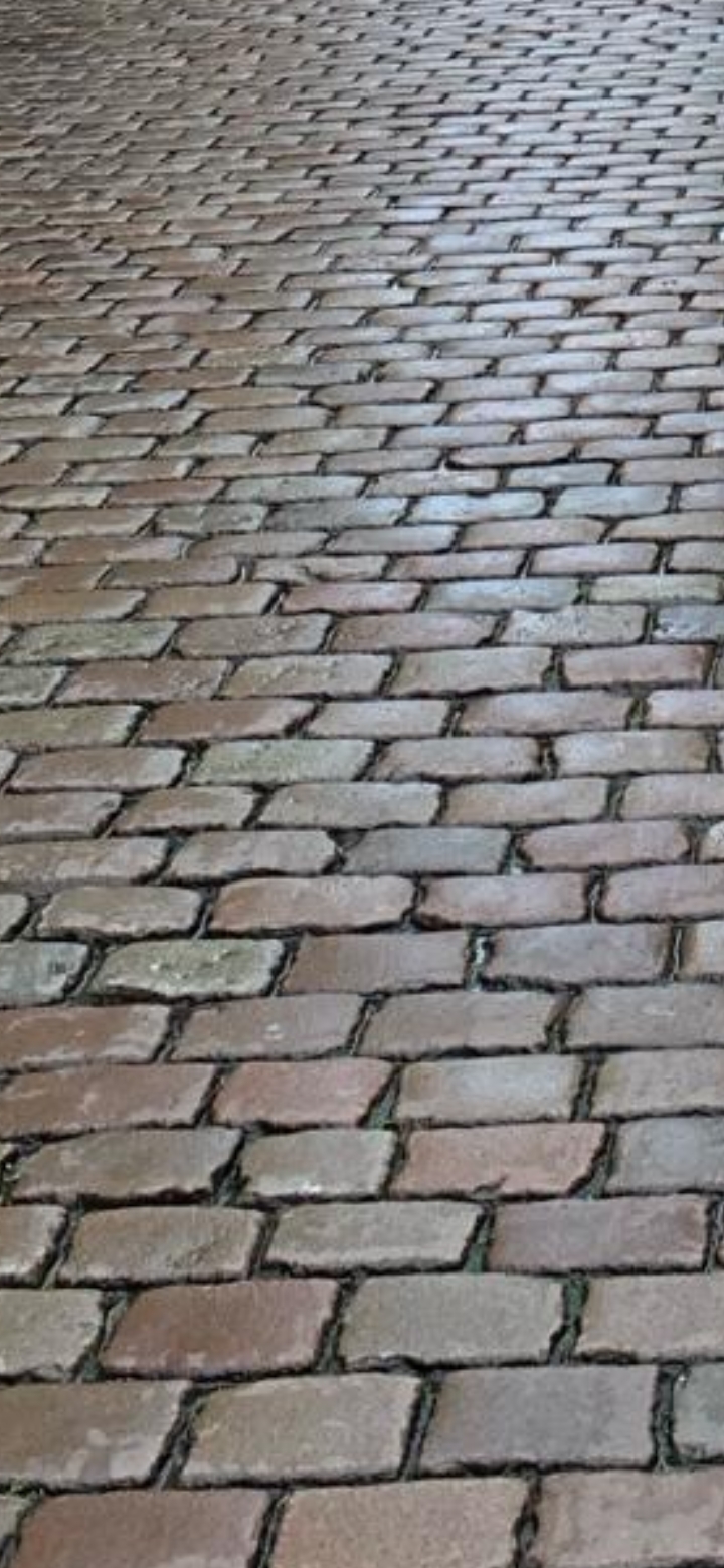 Screenshot_20240508-071646_WhatsApp